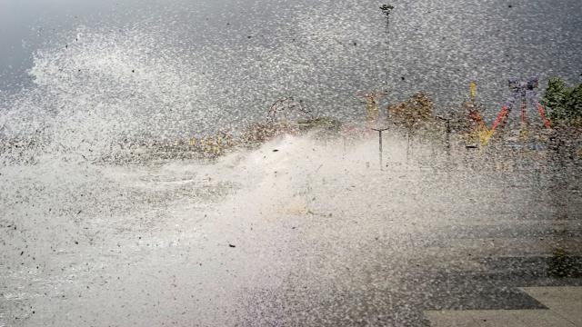 Meteorolojiden Kuzey Egede fırtına uyarısı
