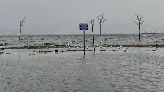 Kocaelide deniz taştı, otopark su içinde kaldı