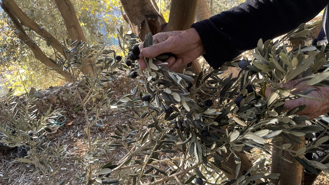 "Müşteri bana bir sene öncesinden sipariş veriyor"