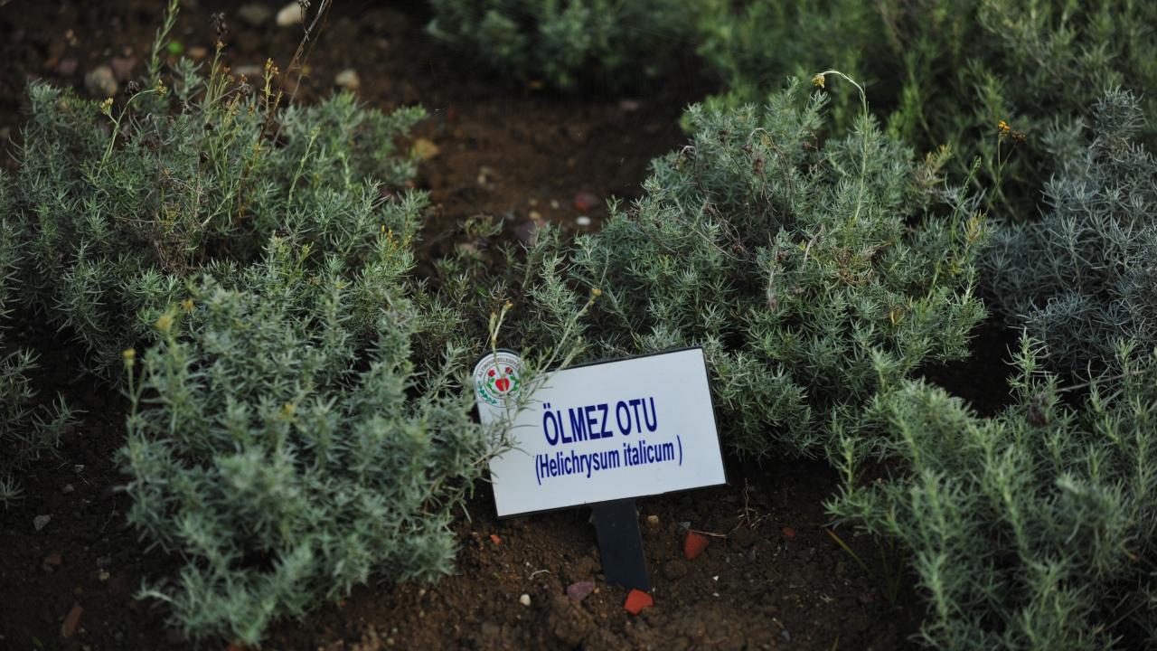 "Amacımız; özellikle kadınlarımıza iş imkanı sağlamak"