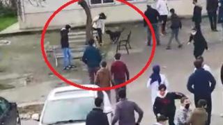 Kocaeli'de pitbull cinsi köpek 5 öğrenciyi yaraladı