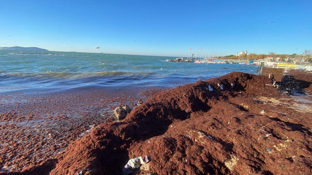 "Bugün de çok fazla lodos var"