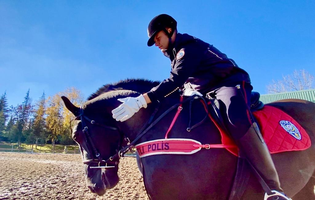 “Binicilerin yeteneği atların gelişimine katkı sağlıyor” 