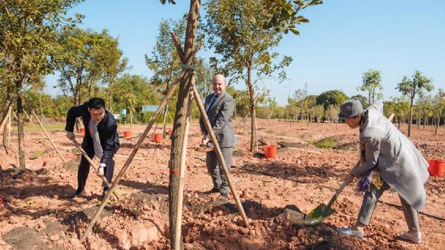 Çinde "Türkiye Hatıra Ormanı" kuruldu