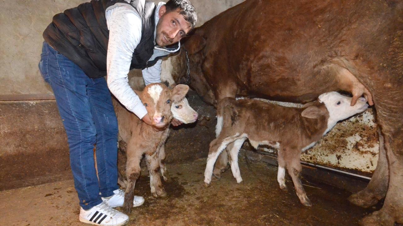 "Devran", "Erdem" ve "Eylem" adları verildi