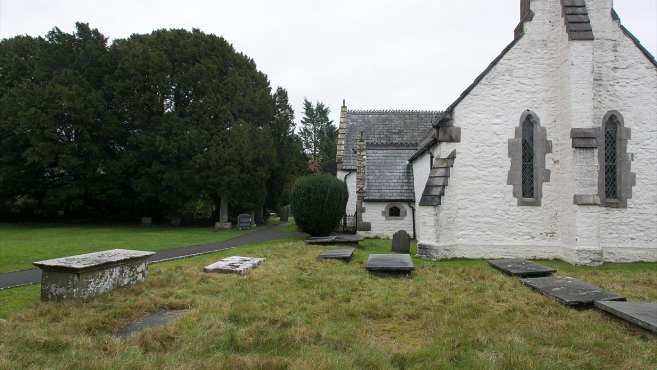 Porsuk ağaçları Keltler için kutsaldı