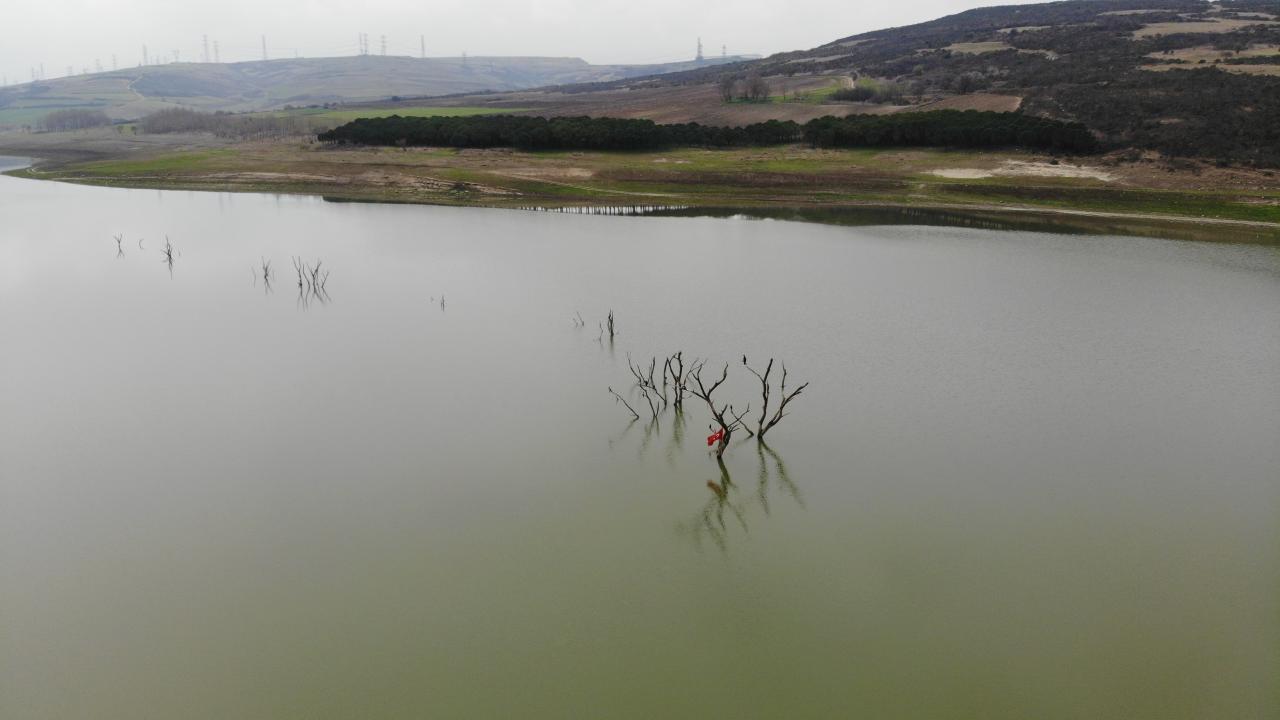 Darlık Barajı her geçen gün daralıyor