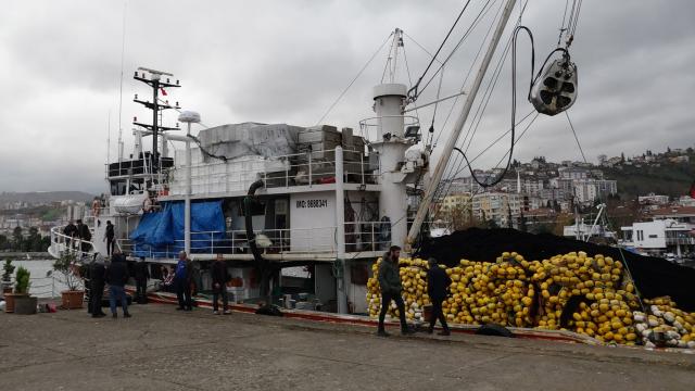 Yasal sınırın altındaki 51 ton hamsiye el konuldu