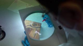 Suçla mücadelede uluslararası veri paylaşımı önemli