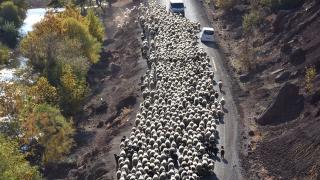 Göçerlerin kışlık çadırlarındaki zorlu mücadelesi
