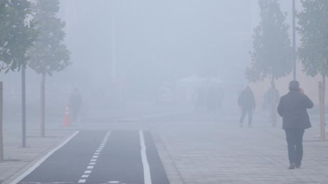 Sakarya ve Düzcede sis etkili oldu