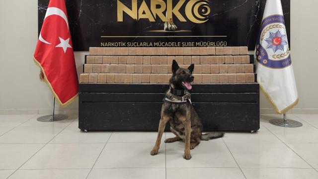 Vanda 57 kilo 441 gram uyuşturucu ele geçirildi