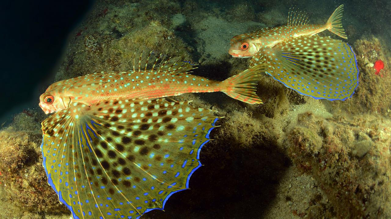 "Seyirci kalmayalım"