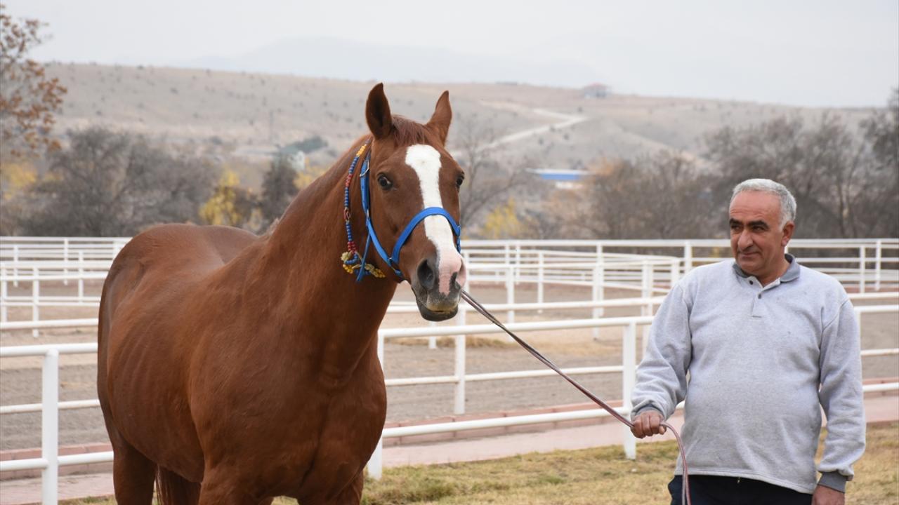 "Özgünhan`ın yavruları ilgi görüyor"