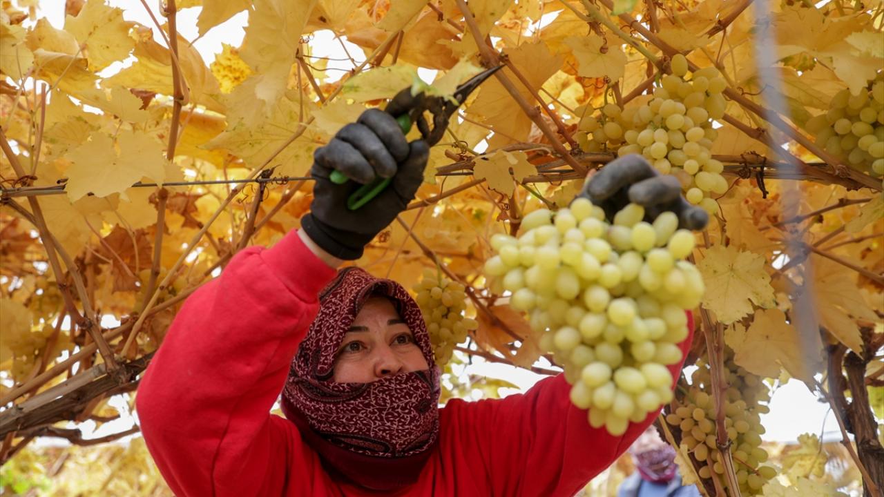 “Bu örtülerin altında yoğun emek ve gerçek alın teri var”