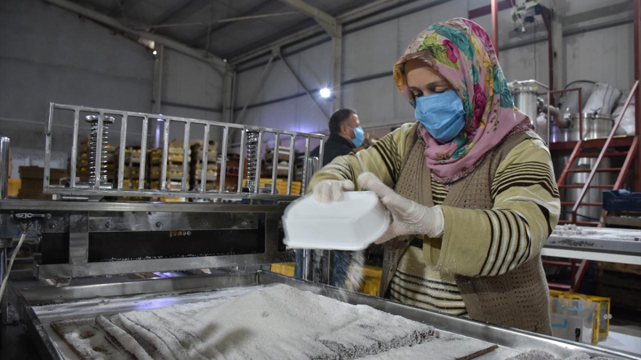 Mevcut üretimin 4 katını yapabilecek kapasiteleri var