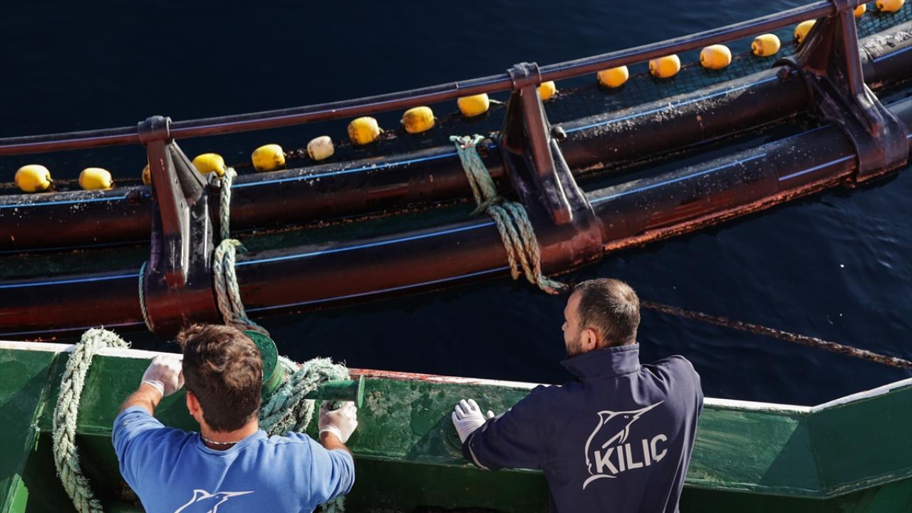 "Son birkaç yıldır Güney Kore’den de ilgi var"