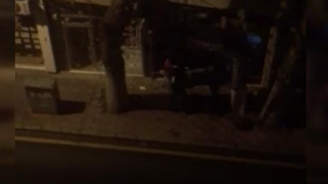 Ankarada iş yerine sopalı saldırı