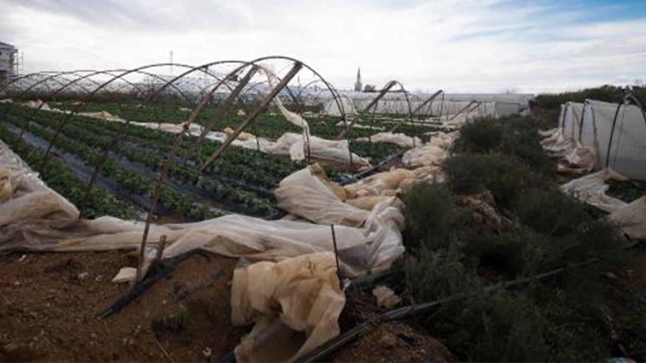 Antalya'da fırtına 2 bin dönüm tarım alanını vurdu