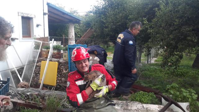 Bodrumda su kuyusuna düşen kediyi itfaiye kurtardı