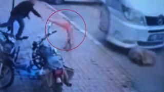 Afyonkarahisar'da köpeğe şiddet: Biri ezdi, diğeri duba fırlattı