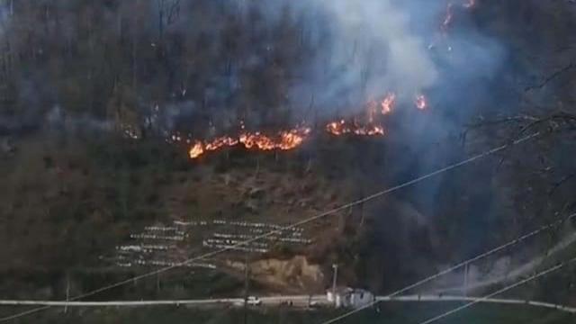 Bahçesinde ateş yakarken ormanlık alanı yaktı