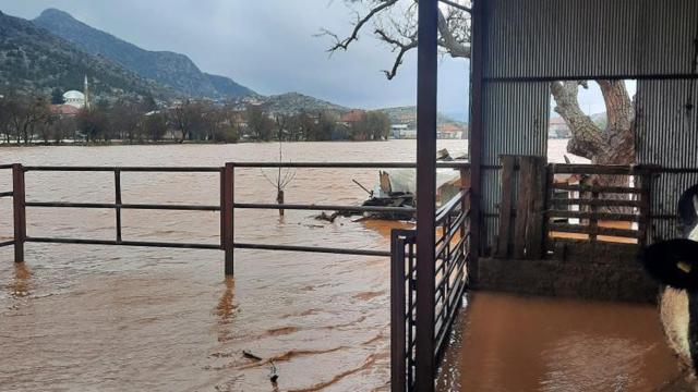 Burduru sağanak vurdu: Dereler taştı, ev ve ahırlar su altında kaldı
