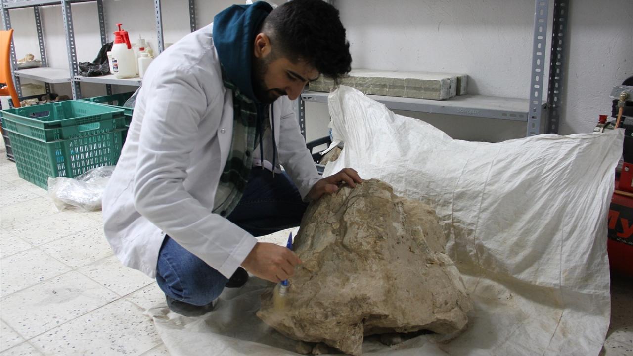 "Gergedan kafatası bulundu"