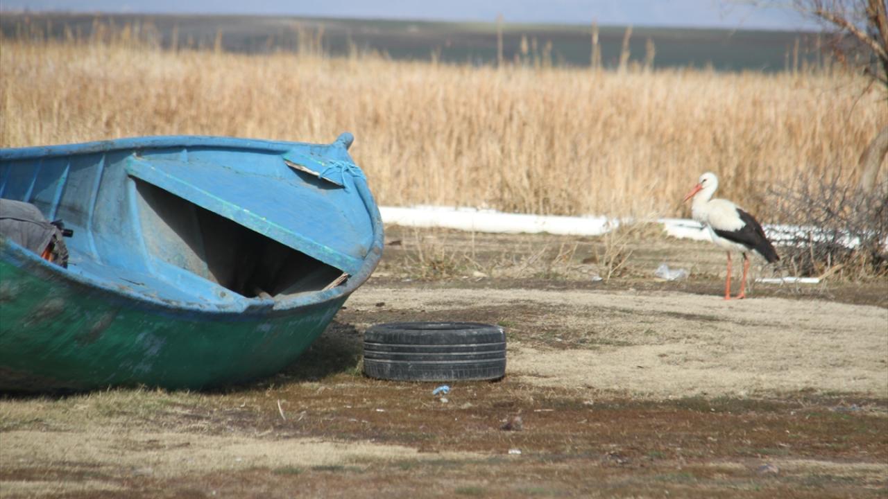 "Teknelerin yolunu gözlüyor"