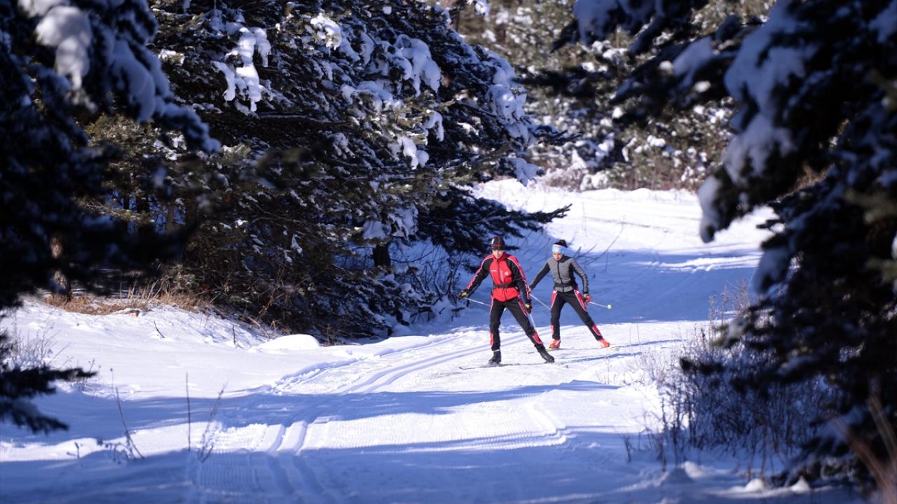 Antrenör Bayraktar: "Ülkemizi en iyi şekilde temsil etmek istiyoruz"