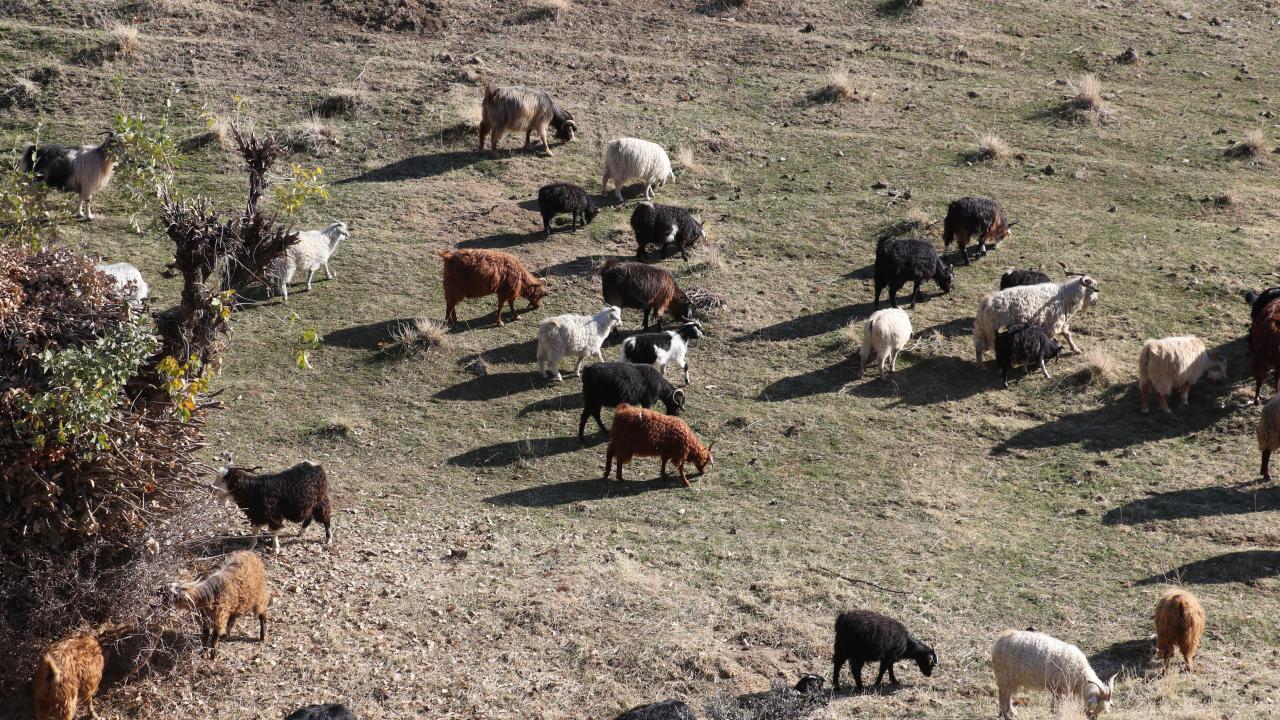 "Bu kumaşımızın dünyaya açılmasını ve tasarımcılarla buluşmasını istiyoruz"