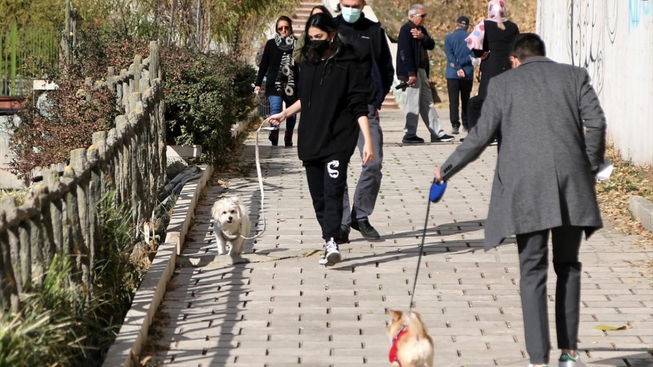 "Yasak olsa da biz kendi bildiğimizi yaparız"
