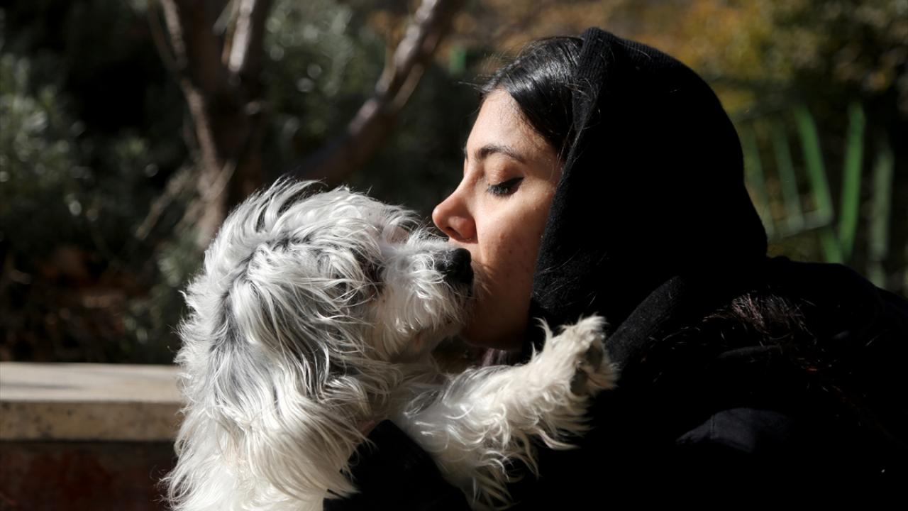 "Tasarının uygulanabilir bir yönü yok"