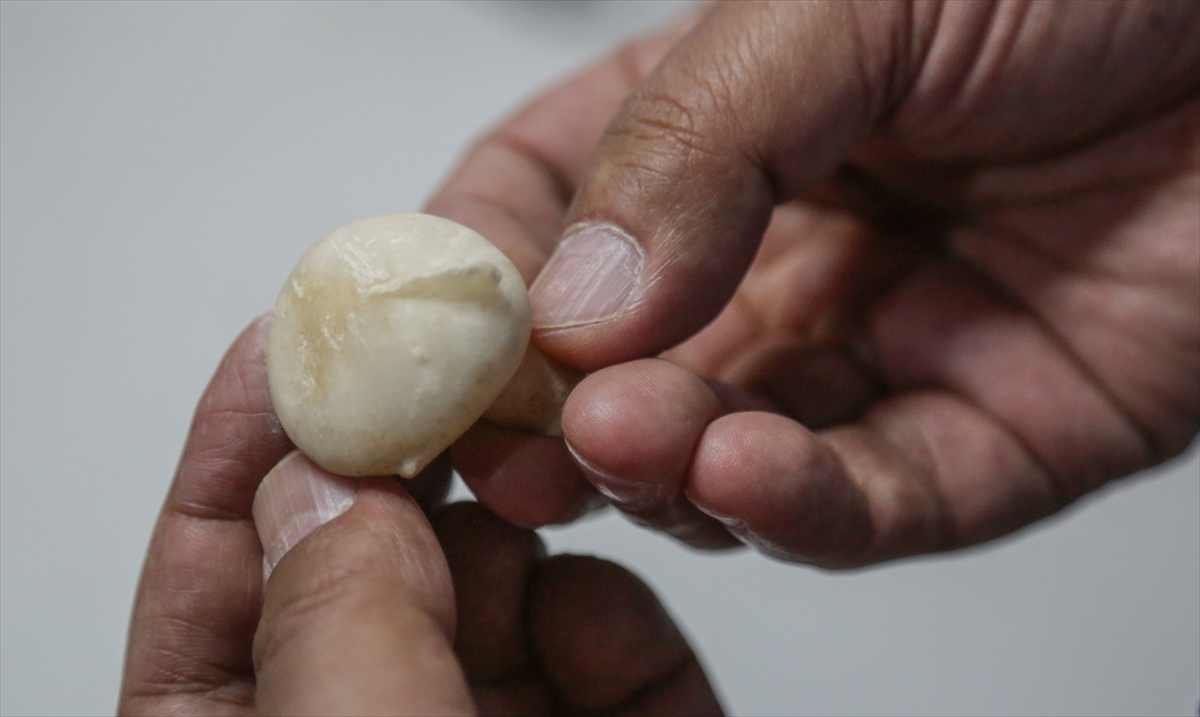 "Bölgede ilk olarak ele geçen bir örnek olduğu için değerli"