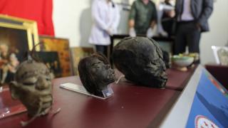 İzmir'de Güney Amerikalı kabileye ait 4 kafatası ele geçirildi