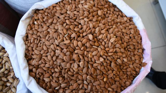 Kayısı çekirdeği 11 ayda 14,9 milyon dolar kazandırdı