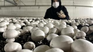 Devlet desteği aldı, 35 kişiye istihdam sağladı