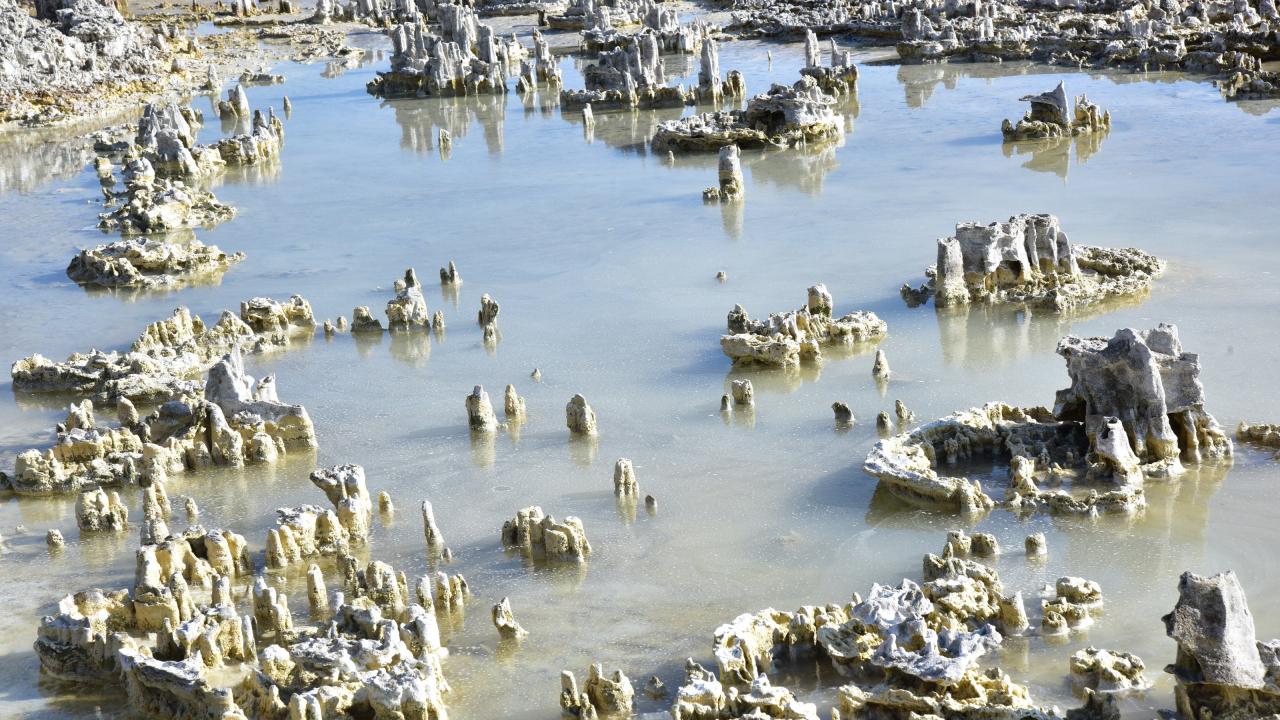 “Yeni mikrobiyalitlerin koruma altına alınması gerekiyor”