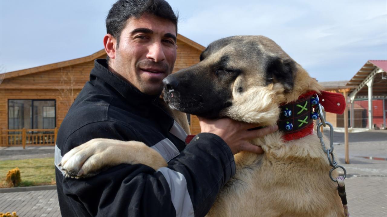 Özel ilgiyle yetiştirilen "Cesur"un bakıcısı da aynı köyden