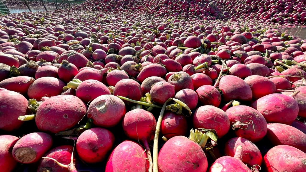 "Ekmek parası katlanıyoruz"