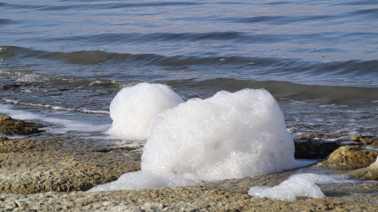 "Kirliliğin de katkısı var"