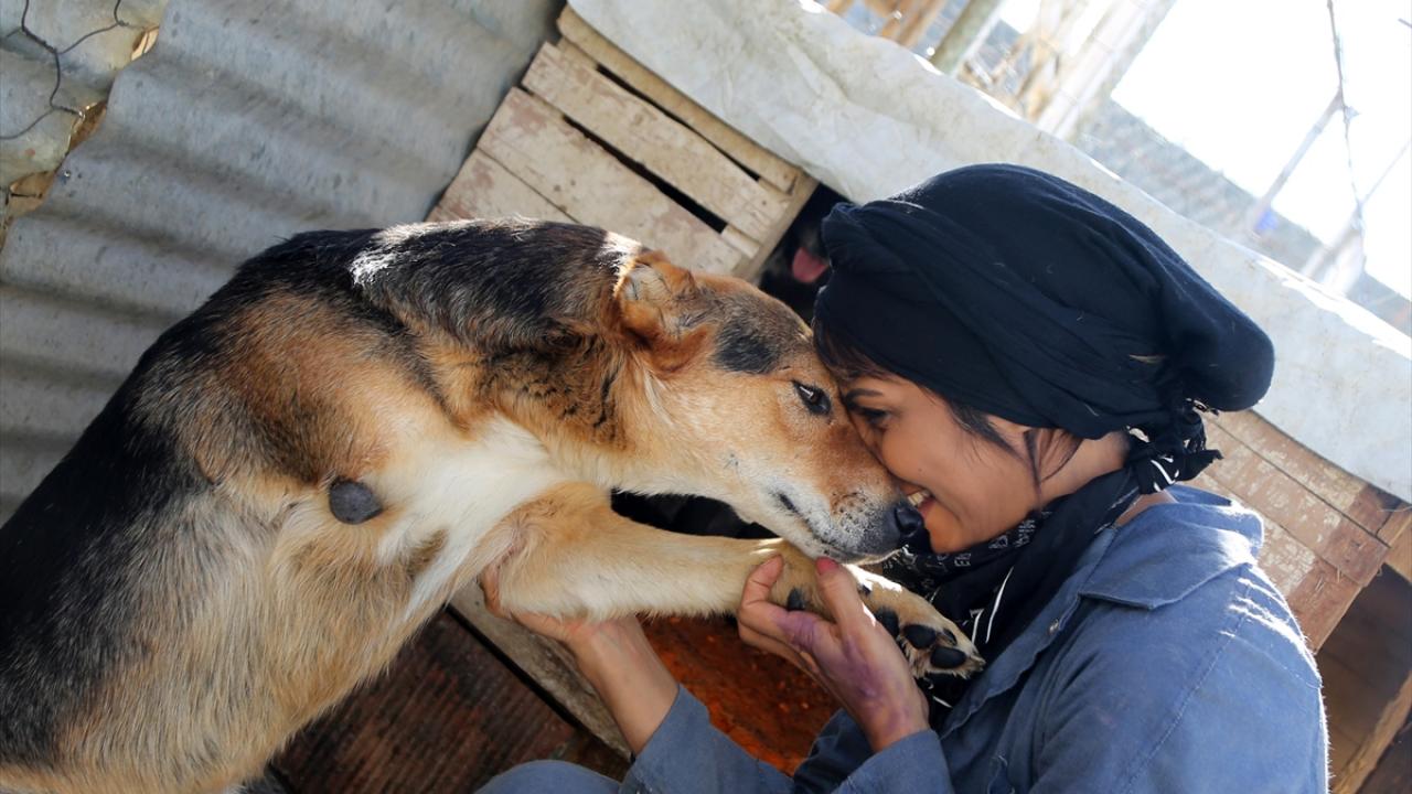 Hayvan cinayetlerine dikkati çekti
