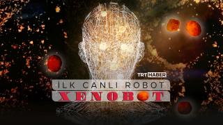 Kendi kendine üreyebilen ilk canlı robot: Xenobot