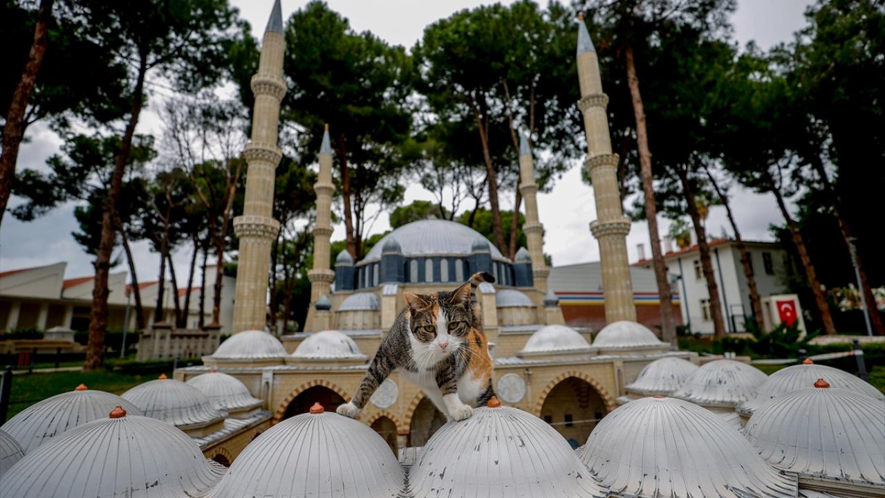 "Meraklı ziyaretçiler de eserlere zarar verebiliyor"