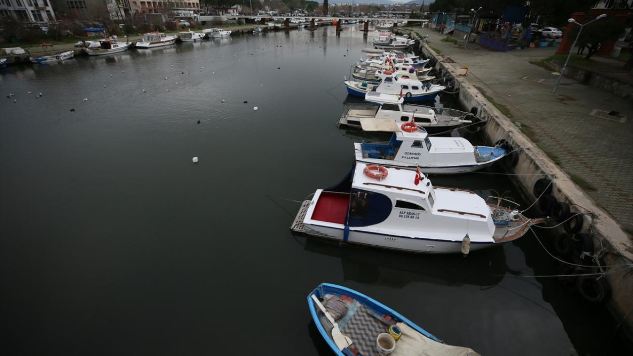 Sonuçların Akademiye katkı sağlaması umuluyor