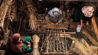 Cammu Keşmir'de hasır yapımı