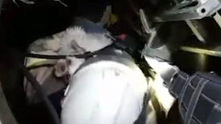 Kuyuda mahsur kalan köpeği itfaiye kurtardı