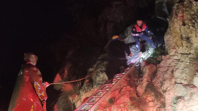 Kayalıklarda mahsur kalan 8 keçi kurtarıldı