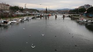 Çanakkale'den geçen Sarıçay'da ekolojik risk artıyor