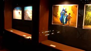 Göç ve mültecilik eserleri 'Öteki Hikayeler' sergisinde